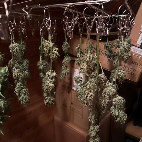 WWA-230816 #1 growlog timeline photo