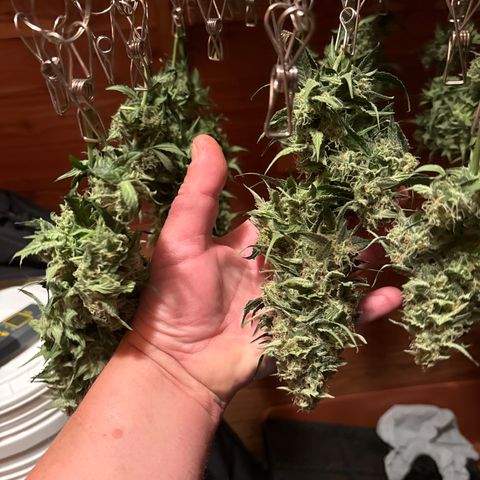 WWA-230816 #2 growlog timeline photo