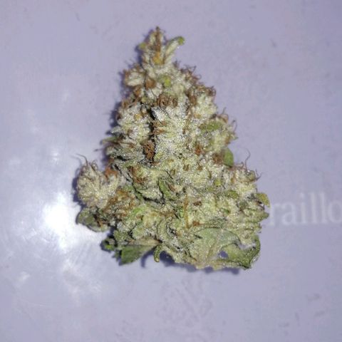 Fat Banana  growlog photo: На пролечу 