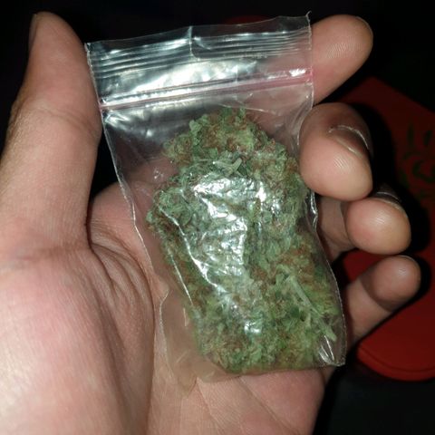 Florence Nightinggale growlog photo: Finish Curing First Sale 3200 pesos 2 grams
