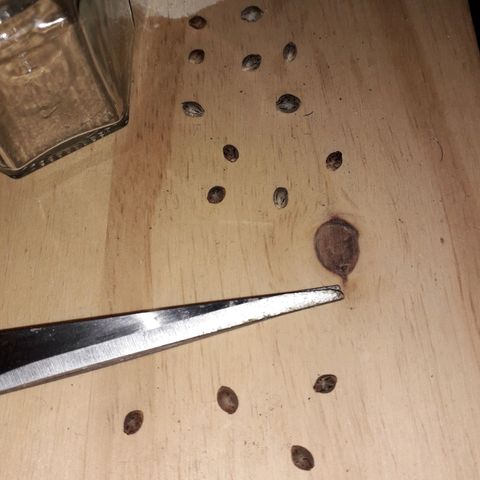 Haze x Purple growlog timeline photo