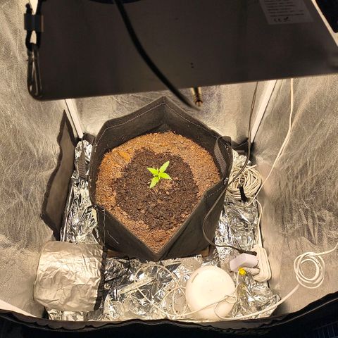Gary raimbow road growlog timeline photo