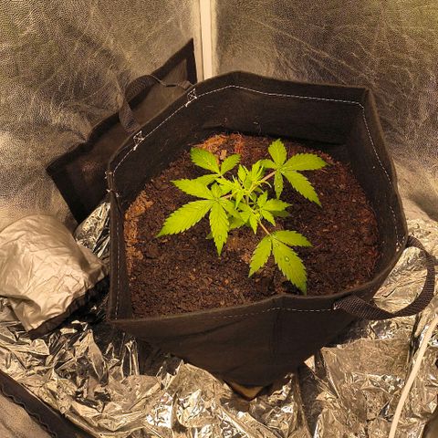 Gary raimbow road growlog timeline photo
