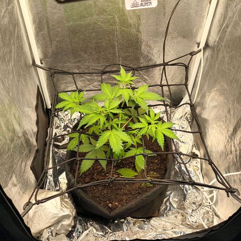 Gary raimbow road growlog timeline photo
