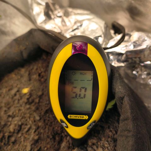 Gary raimbow road growlog timeline photo