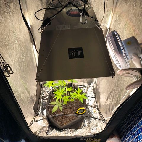 Gary raimbow road growlog timeline photo