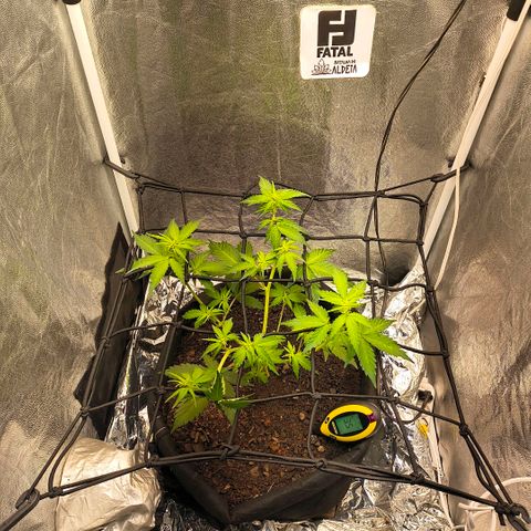 Gary raimbow road growlog timeline photo