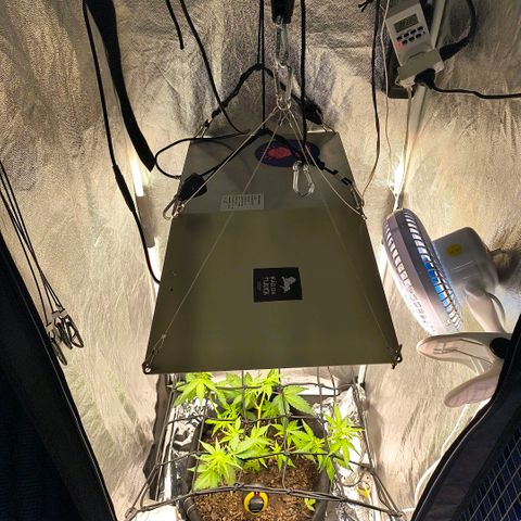 Gary raimbow road growlog timeline photo