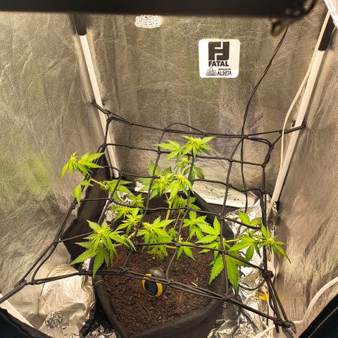 Gary raimbow road growlog timeline photo
