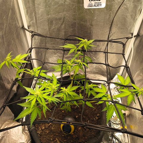 Gary raimbow road growlog timeline photo