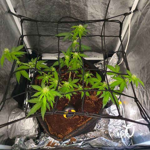 Gary raimbow road growlog timeline photo