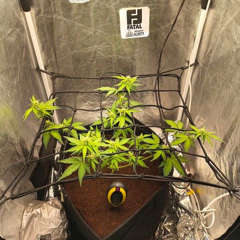 Gary raimbow road growlog timeline photo