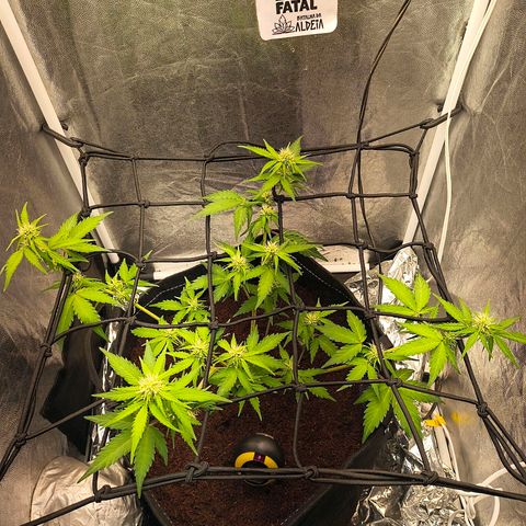 Gary raimbow road growlog timeline photo