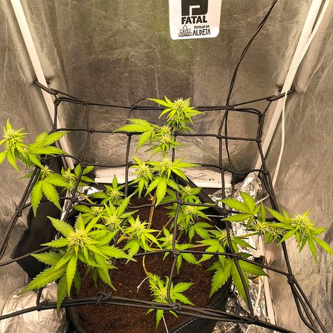 Gary raimbow road growlog timeline photo