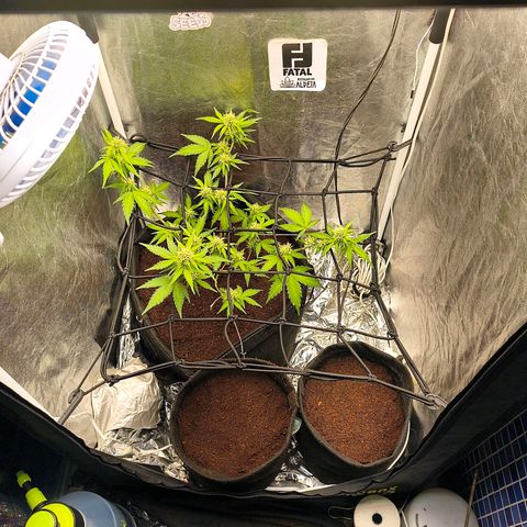 Gary raimbow road growlog photo: New ciacle