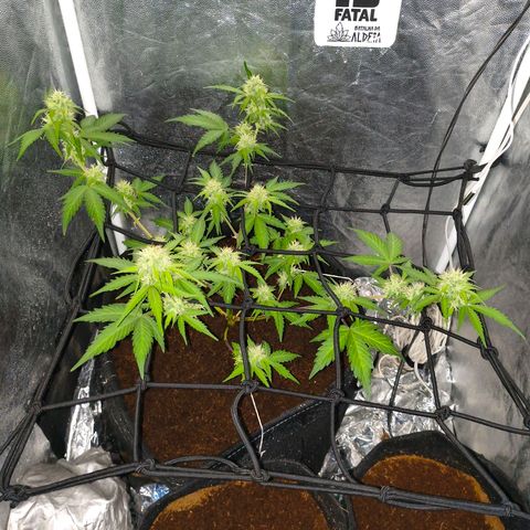 Gary raimbow road growlog timeline photo