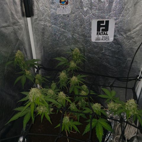 Gary raimbow road growlog timeline photo