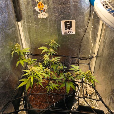 Gary raimbow road growlog timeline photo