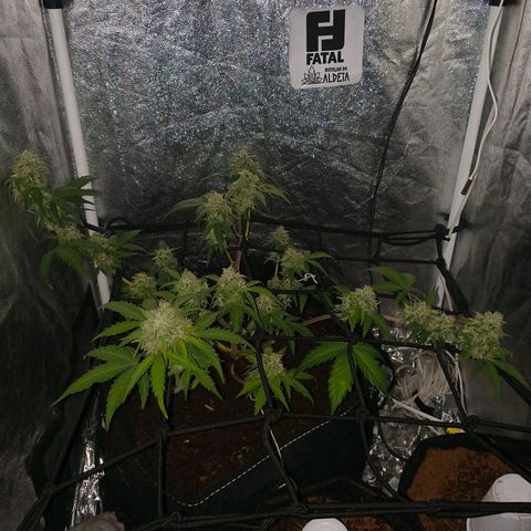 Gary raimbow road growlog timeline photo