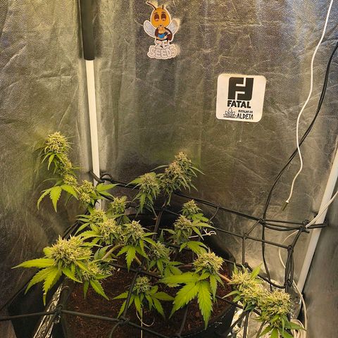 Gary raimbow road growlog timeline photo