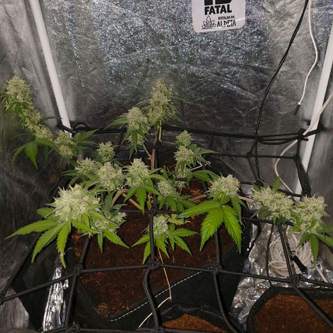 Gary raimbow road growlog timeline photo