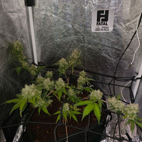 Gary raimbow road growlog timeline photo