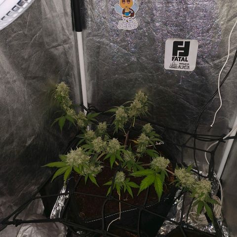 Gary raimbow road growlog timeline photo