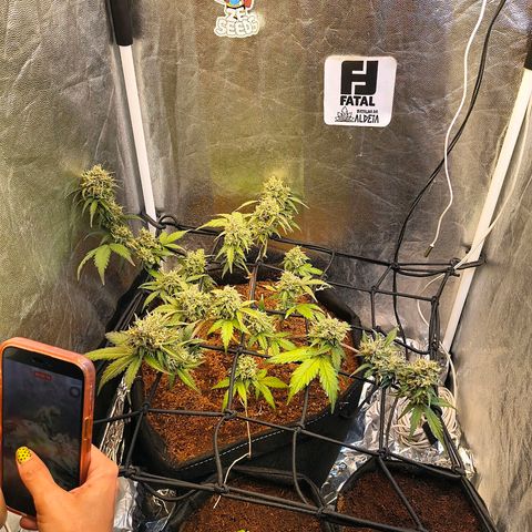 Gary raimbow road growlog timeline photo