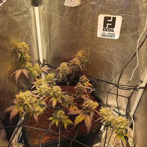 Gary raimbow road growlog timeline photo