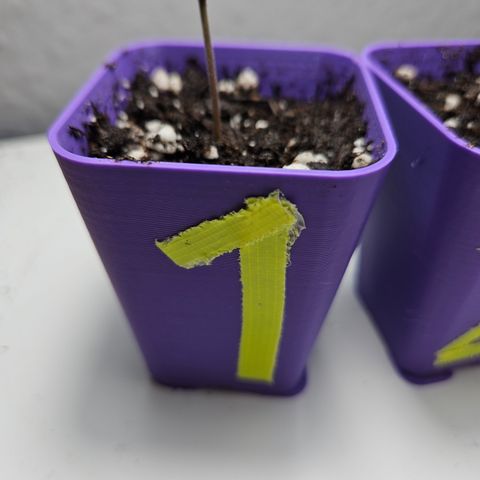 "Blockberry" #1 growlog timeline photo