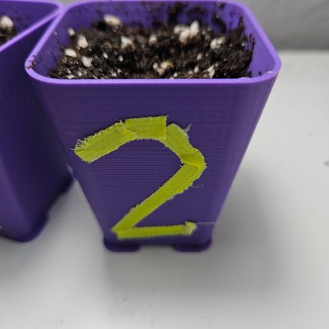 "Blockberry" #2 growlog timeline photo