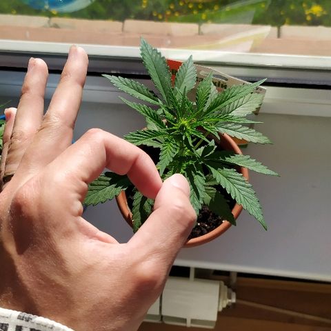 Петр growlog photo: Петр точно девочка