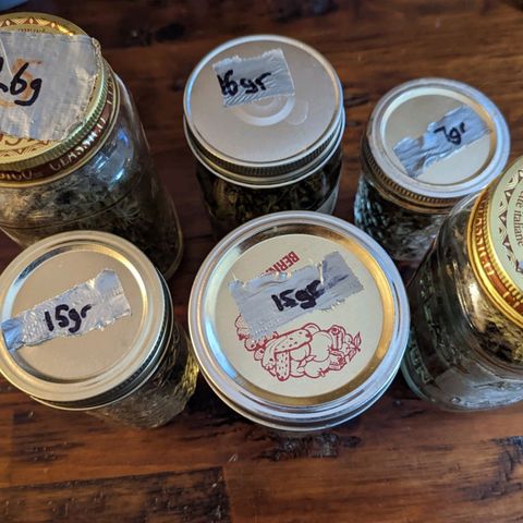 Dbl Choc 1 growlog photo: Curing... Not sure of the weight 