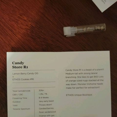 Candy Store RBX growlog timeline photo