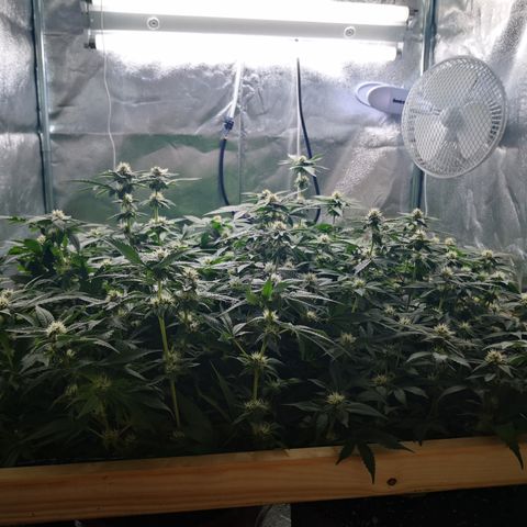 Залика growlog timeline photo