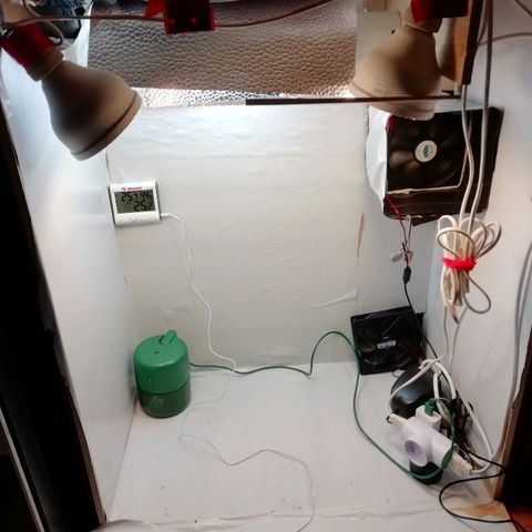 Рипли growlog photo: Второй LED