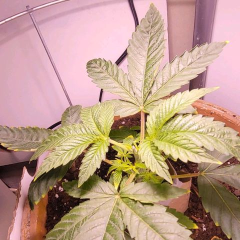 Hampton  growlog timeline photo