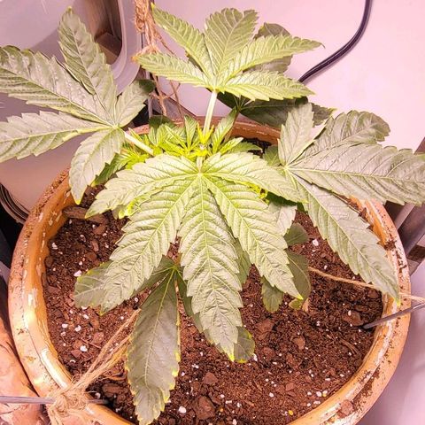 Hampton  growlog timeline photo