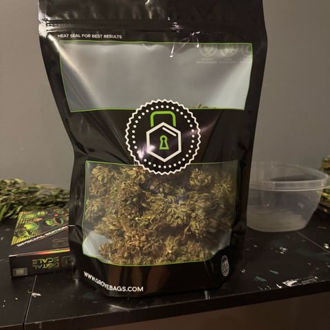 Apple Fritter growlog timeline photo