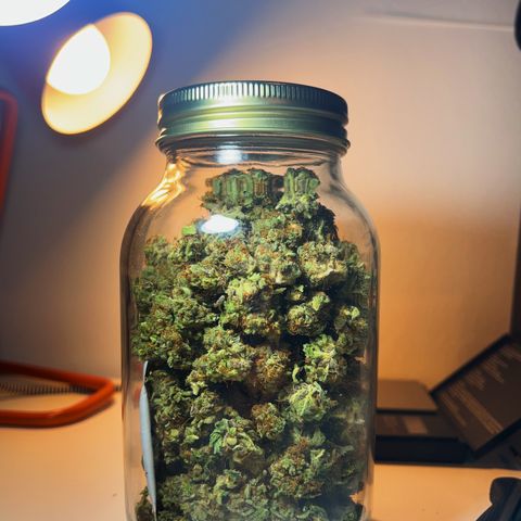 OG Kush growlog photo: Very happy with this considering it my second try 🥳
