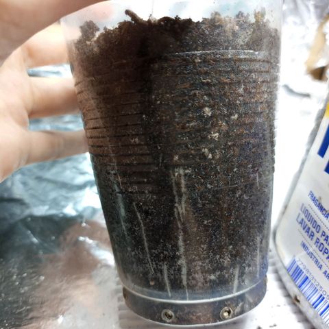 Galponeta growlog timeline photo