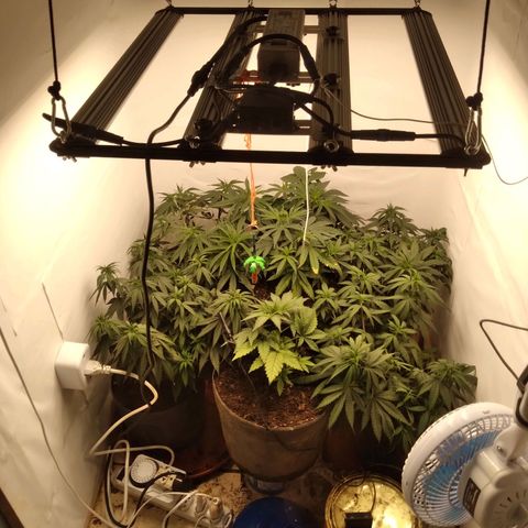 Colômbia kkau  growlog timeline photo