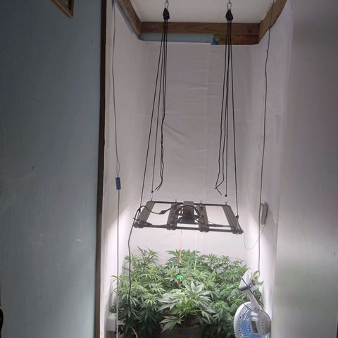 Colômbia kkau  growlog timeline photo