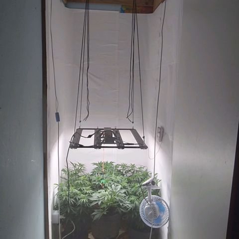 Colômbia kkau  growlog timeline photo