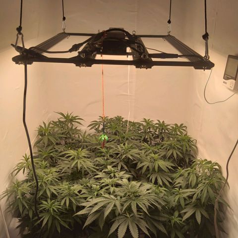 Colômbia kkau  growlog timeline photo