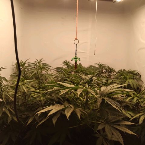 Colômbia kkau  growlog timeline photo
