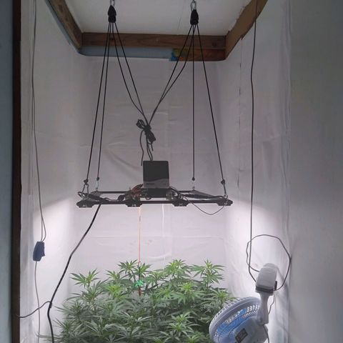 Colômbia kkau  growlog timeline photo