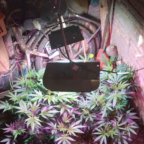 Colômbia kkau  growlog timeline photo