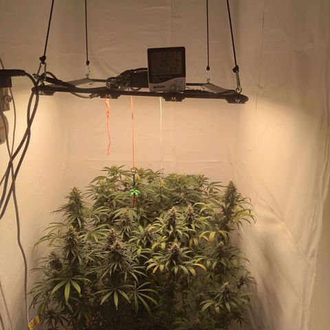 Colômbia kkau  growlog timeline photo