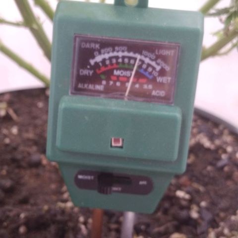 Colômbia kkau  growlog timeline photo